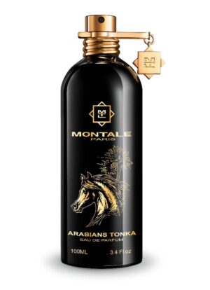 Arabians Tonka
