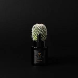 Musgo Real: Black Edition Beard Oil