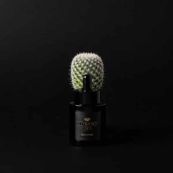 Musgo Real: Black Edition Beard Oil