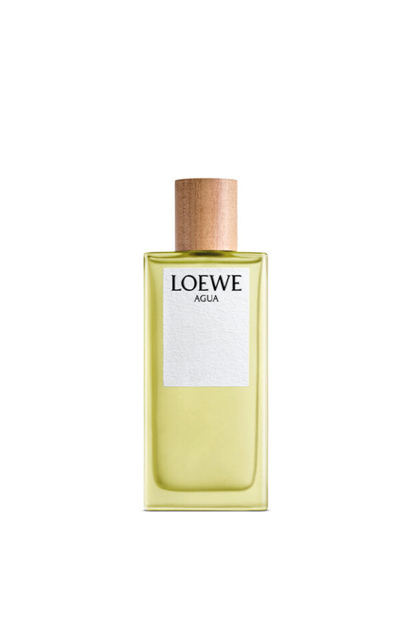 Aqua EDT 100ML